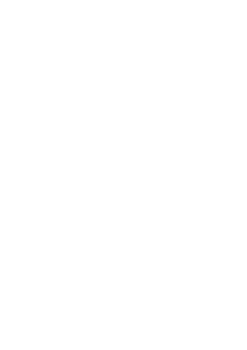 Phoenix Evolution